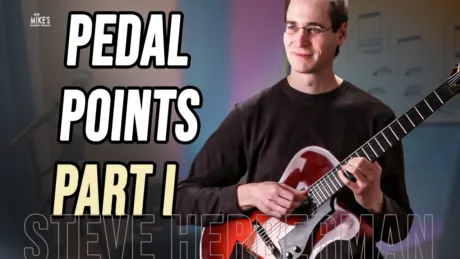 Pedal Points I - Steve Herberman